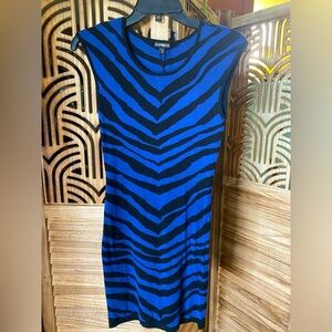 Express Knit Mini Dress